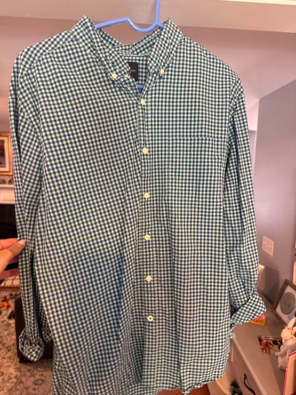 American Eagle Outfitters Green and White Gingham Button-Down Shirt